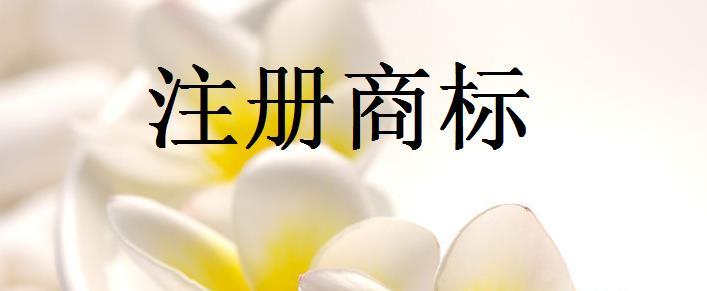 商標(biāo)注冊